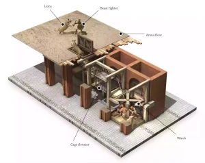 Colosseum Elevator